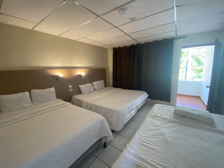Habitación Superior con Terraza privada